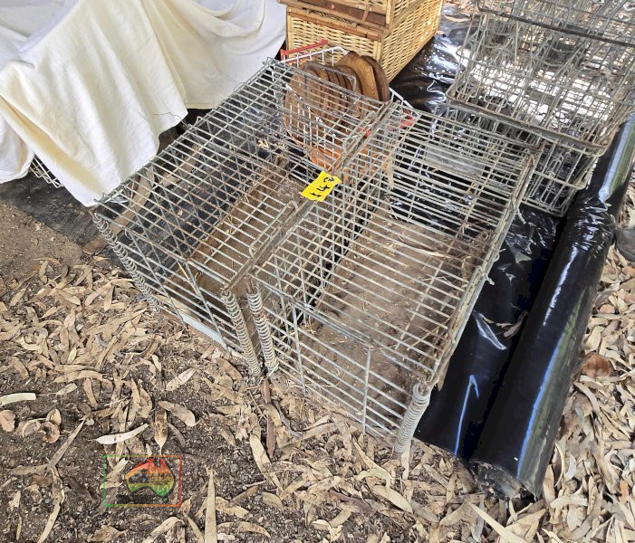 2x Chicken Carry Cages - photo 2
