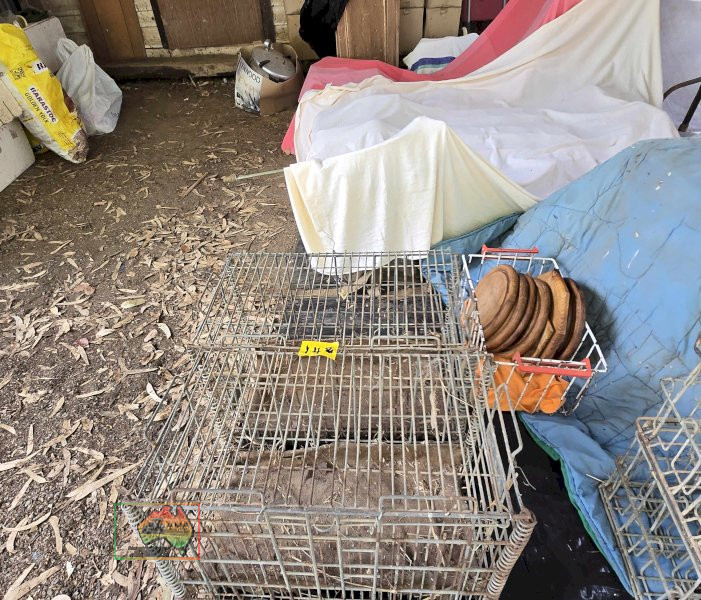 2x Chicken Carry Cages - photo 3