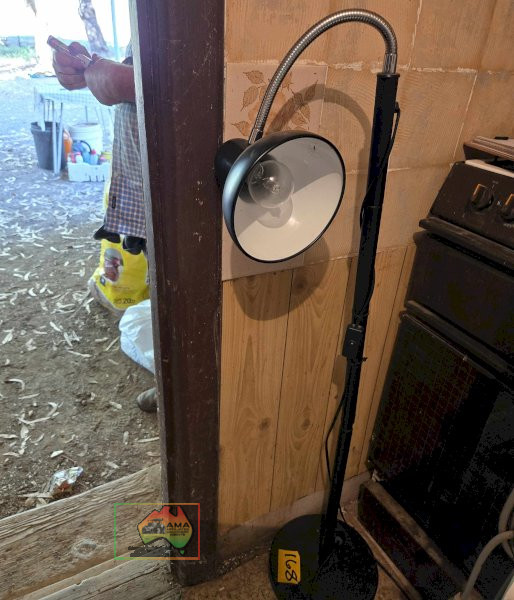 Pedestal Reader's Lamp