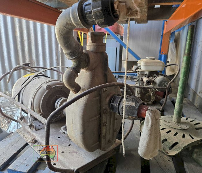 1' & 1/2 Grazcos pump - photo 2