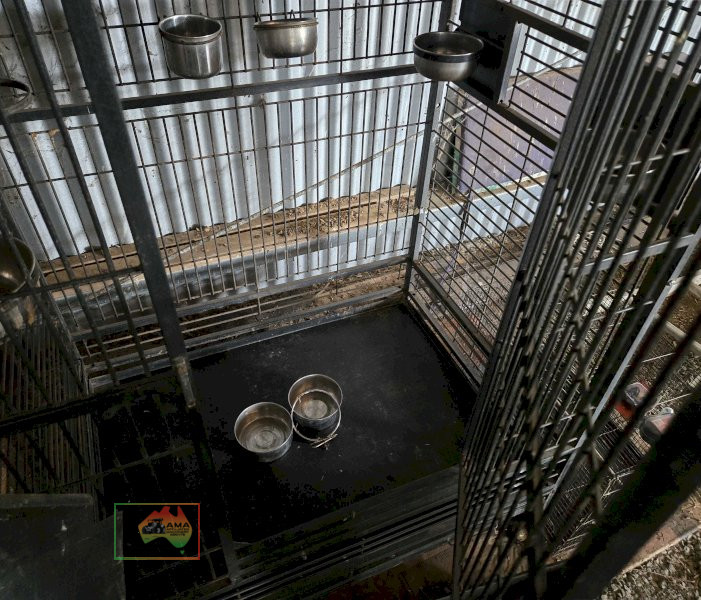 Powder Coated Deluxe Parrot Cage - photo 3