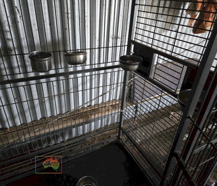 Powder Coated Deluxe Parrot Cage - photo 4