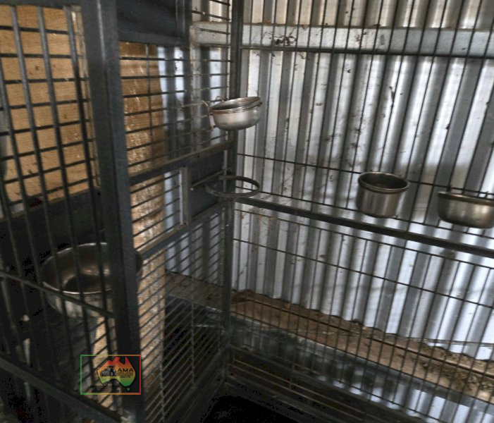 Powder Coated Deluxe Parrot Cage - photo 6