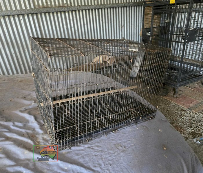 Budgie Bird Cage - photo 2