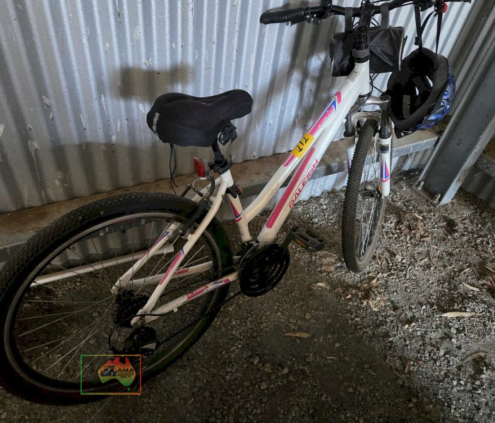 Raleigh 21 Speed Ladies Mountain Bike - photo 3