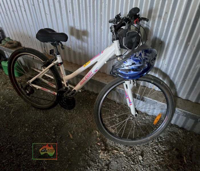 Raleigh 21 Speed Ladies Mountain Bike