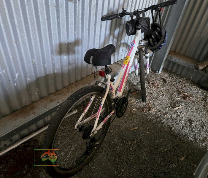 Raleigh 21 Speed Ladies Mountain Bike - photo 2