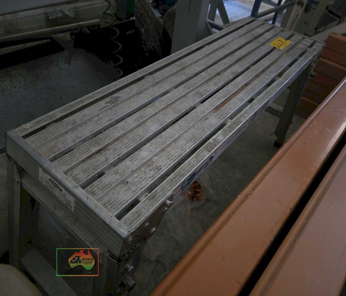 Steel frame step