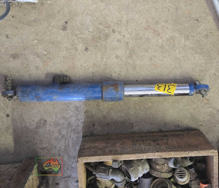 Blue Hyd. Cylinder/Ram - photo 3