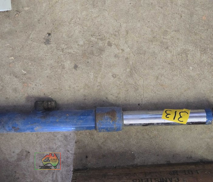 Blue Hyd. Cylinder/Ram - photo 2