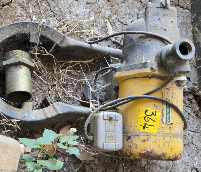Davey Electric Transfer Pump - photo 2