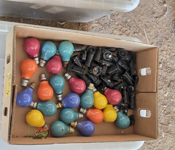 240v Party Lights - photo 3