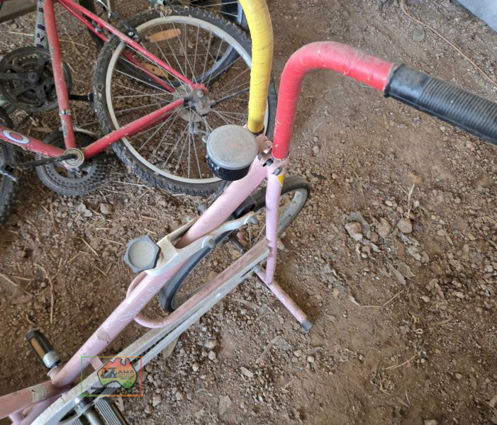 Pink Exercise Bike - photo 1