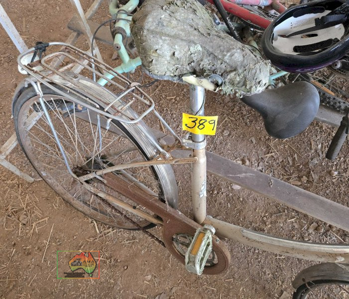 Old Malvern Star Ladies Bike - photo 4
