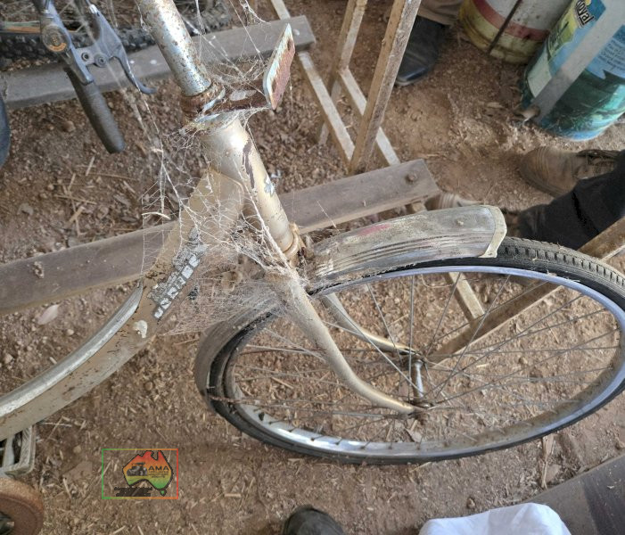 Old Malvern Star Ladies Bike - photo 3