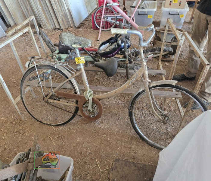 Old Malvern Star Ladies Bike