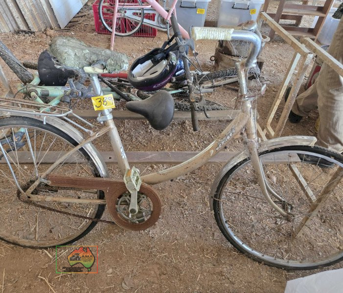 Old Malvern Star Ladies Bike - photo 2