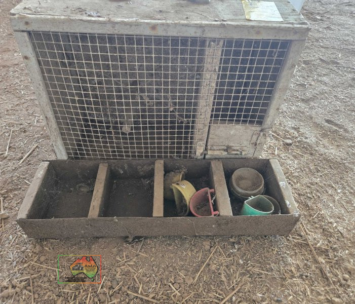Pigeon Box - photo 3