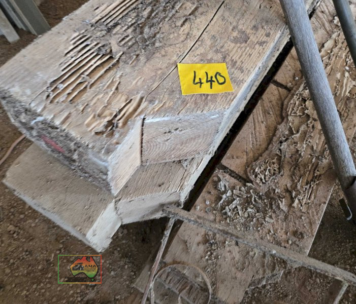 Oregon 4m Timber Beams - photo 2