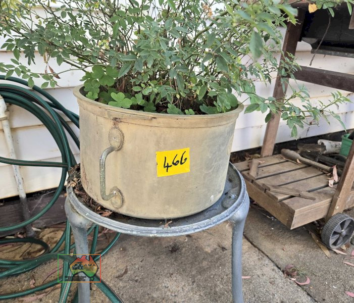 Rose Pot Plant on Cast Stand - photo 2