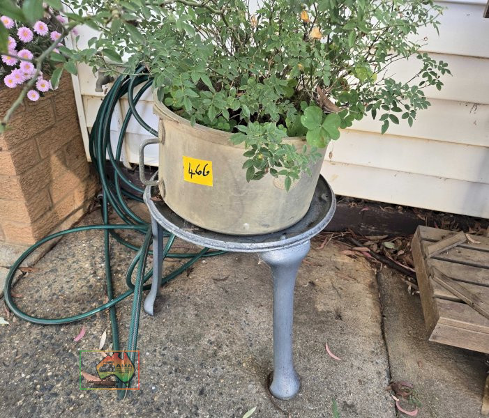 Rose Pot Plant on Cast Stand