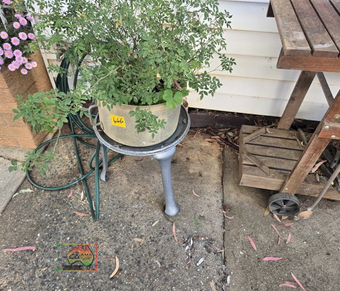 Rose Pot Plant on Cast Stand - photo 4