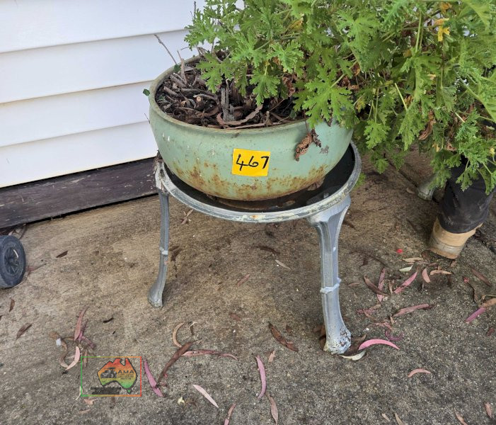 Geranium Pot Plant on Cast Stand