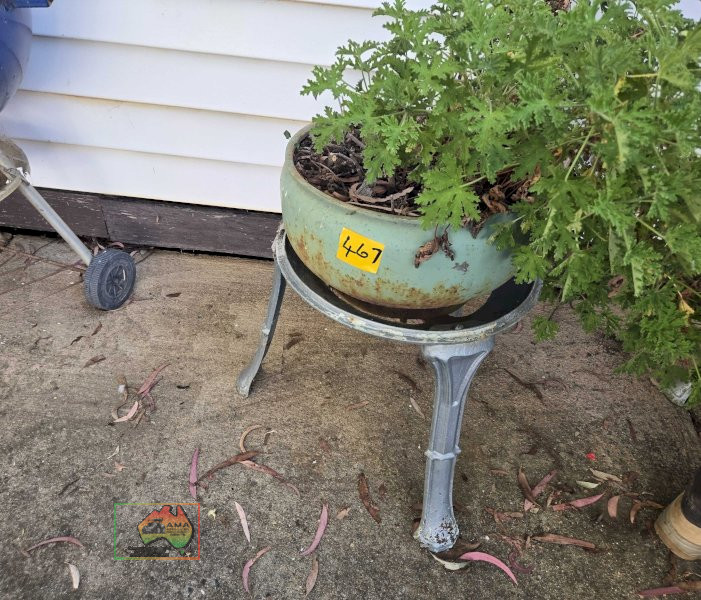 Geranium Pot Plant on Cast Stand - photo 3