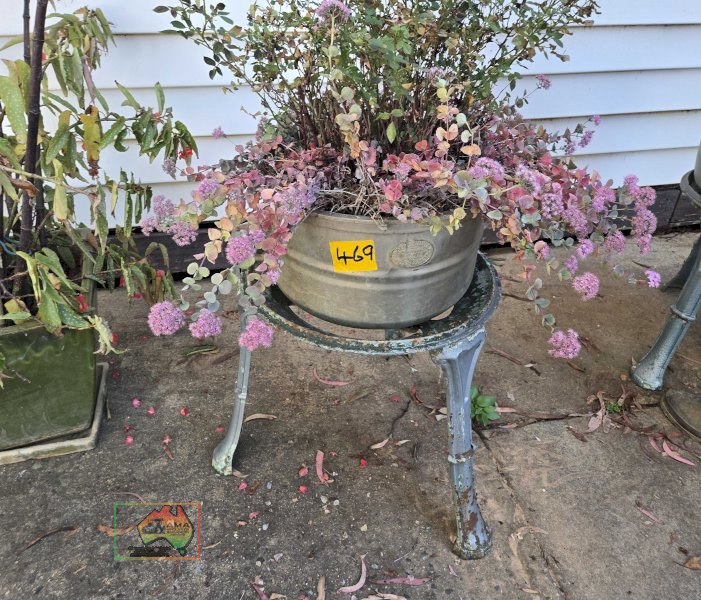 Rose Pot Plant on Cast Stand