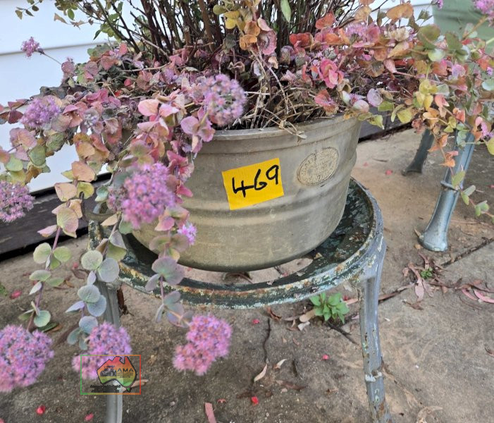 Rose Pot Plant on Cast Stand - photo 2
