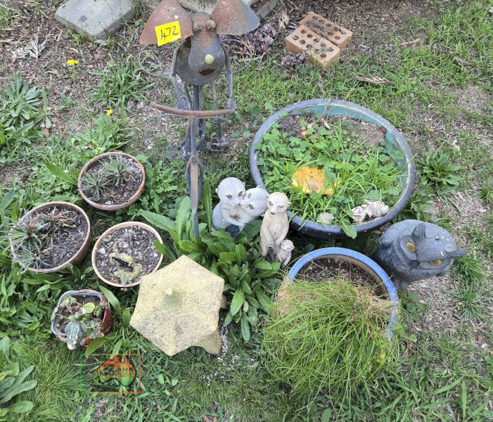 Assorted Pot Plants, Meerkats & Bike - photo 3