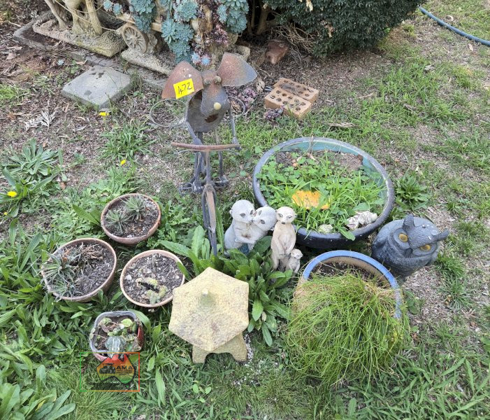 Assorted Pot Plants, Meerkats & Bike