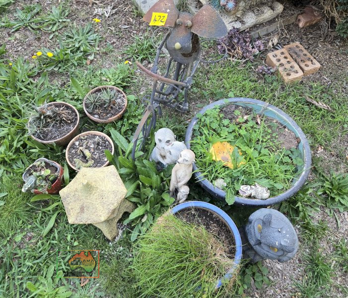 Assorted Pot Plants, Meerkats & Bike - photo 4