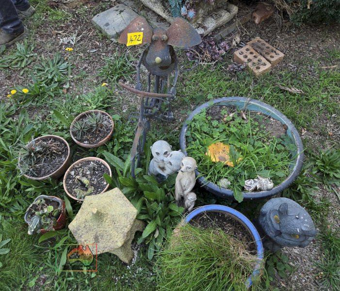 Assorted Pot Plants, Meerkats & Bike - photo 5