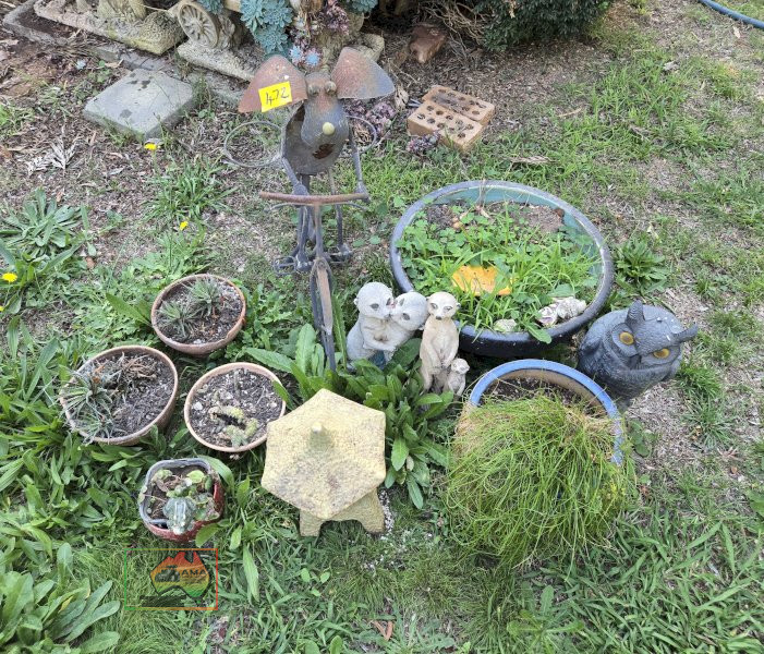 Assorted Pot Plants, Meerkats & Bike - photo 2