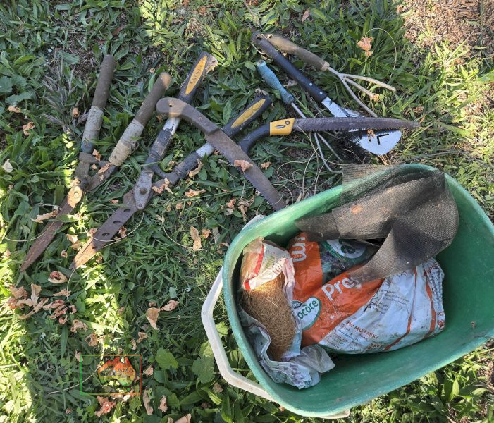 Tub of Pruning Tools - photo 2