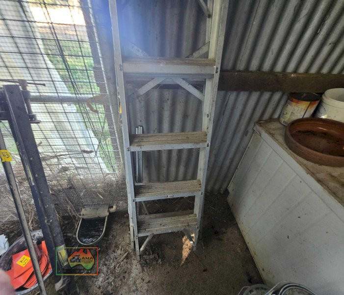 6ft Alloy Step Ladder