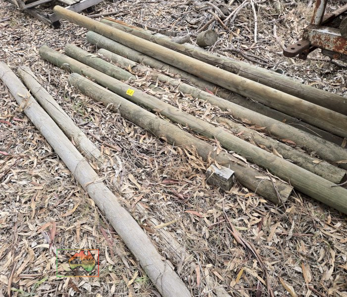 11x Pine Posts & Rails - photo 2