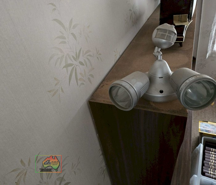 Outdoor Sensor Security Light - photo 1