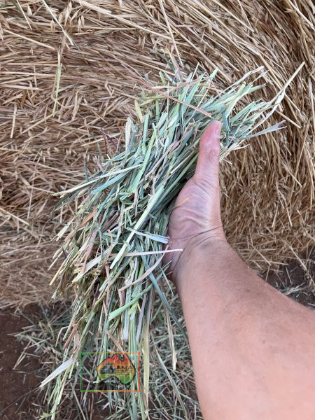 Rolls of Pure Oaten Hay ($/Roll) - photo 3