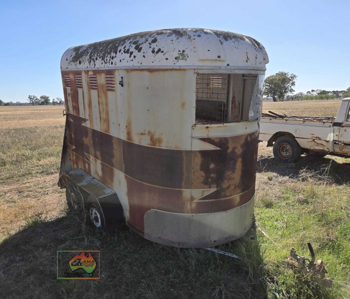 Tandem Horse Float - photo 4
