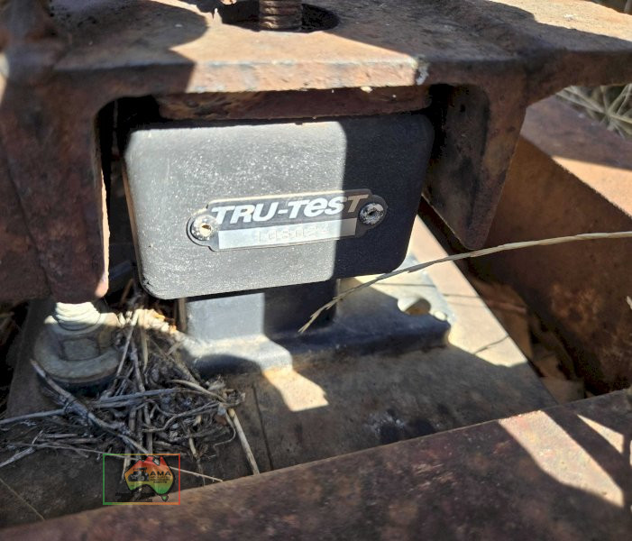 Cattle Crush with True Test Scales - photo 4