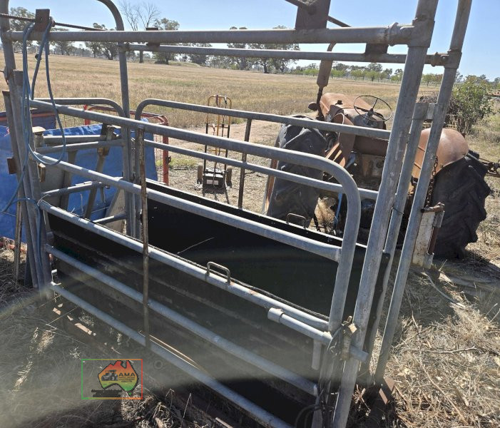 Cattle Crush with True Test Scales - photo 5