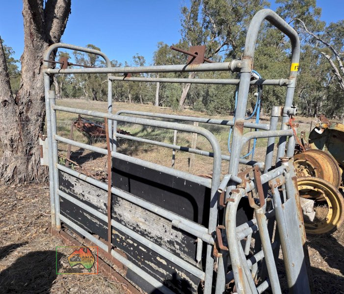 Cattle Crush with True Test Scales