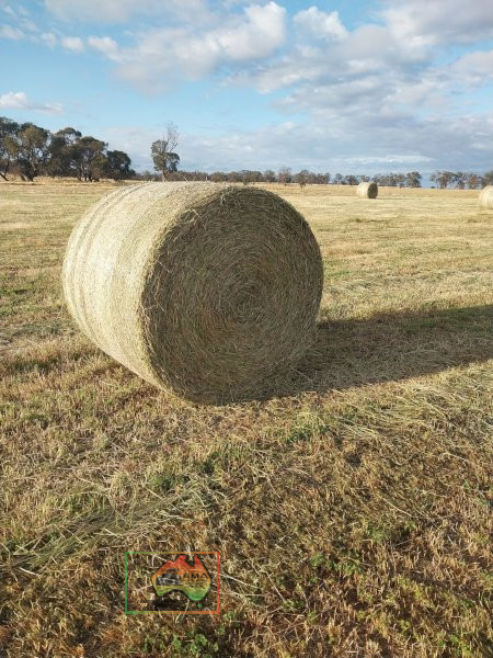 56 Rolls of 5x4 Oaten Hay ($/roll) - photo 2