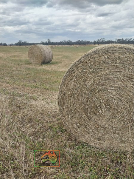 56 Rolls of 5x4 Oaten Hay ($/roll) - photo 1