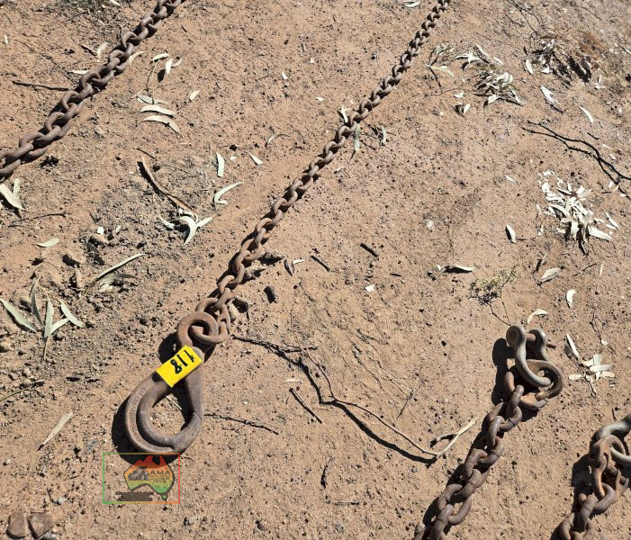 3m H/duty Lifting Chain with Snap Hooks - photo 2