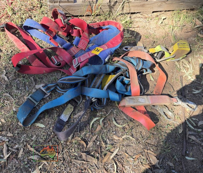 Tree Lopping Harness - photo 1