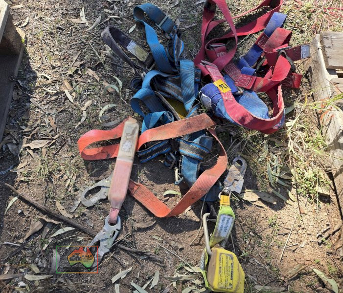 Tree Lopping Harness - photo 2