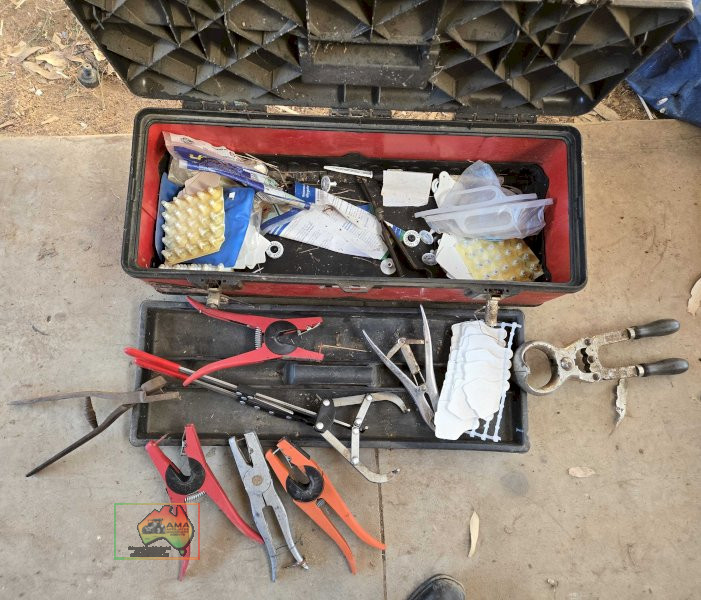 Cattle Tags & Marking Equipment
